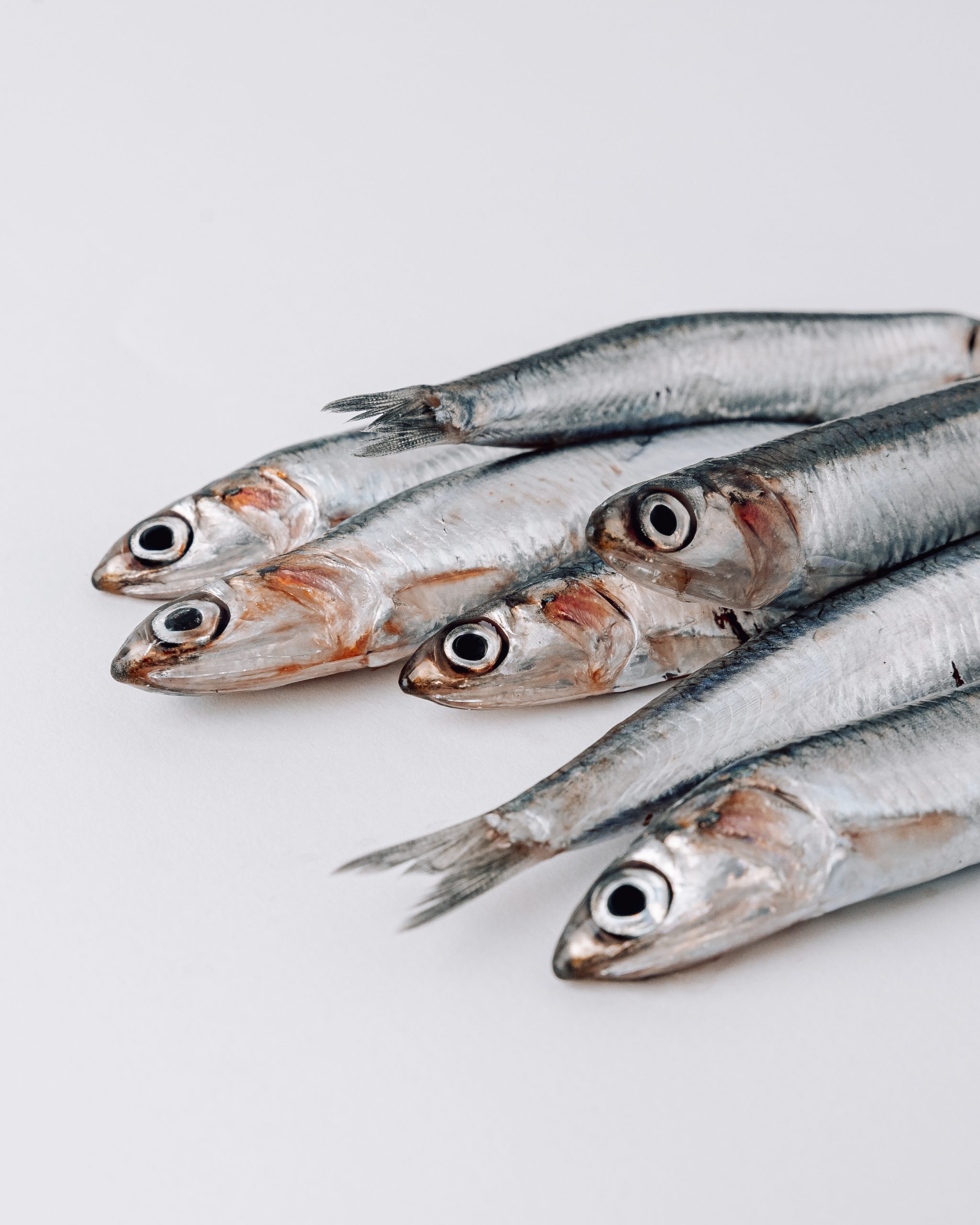 Food - Pesci