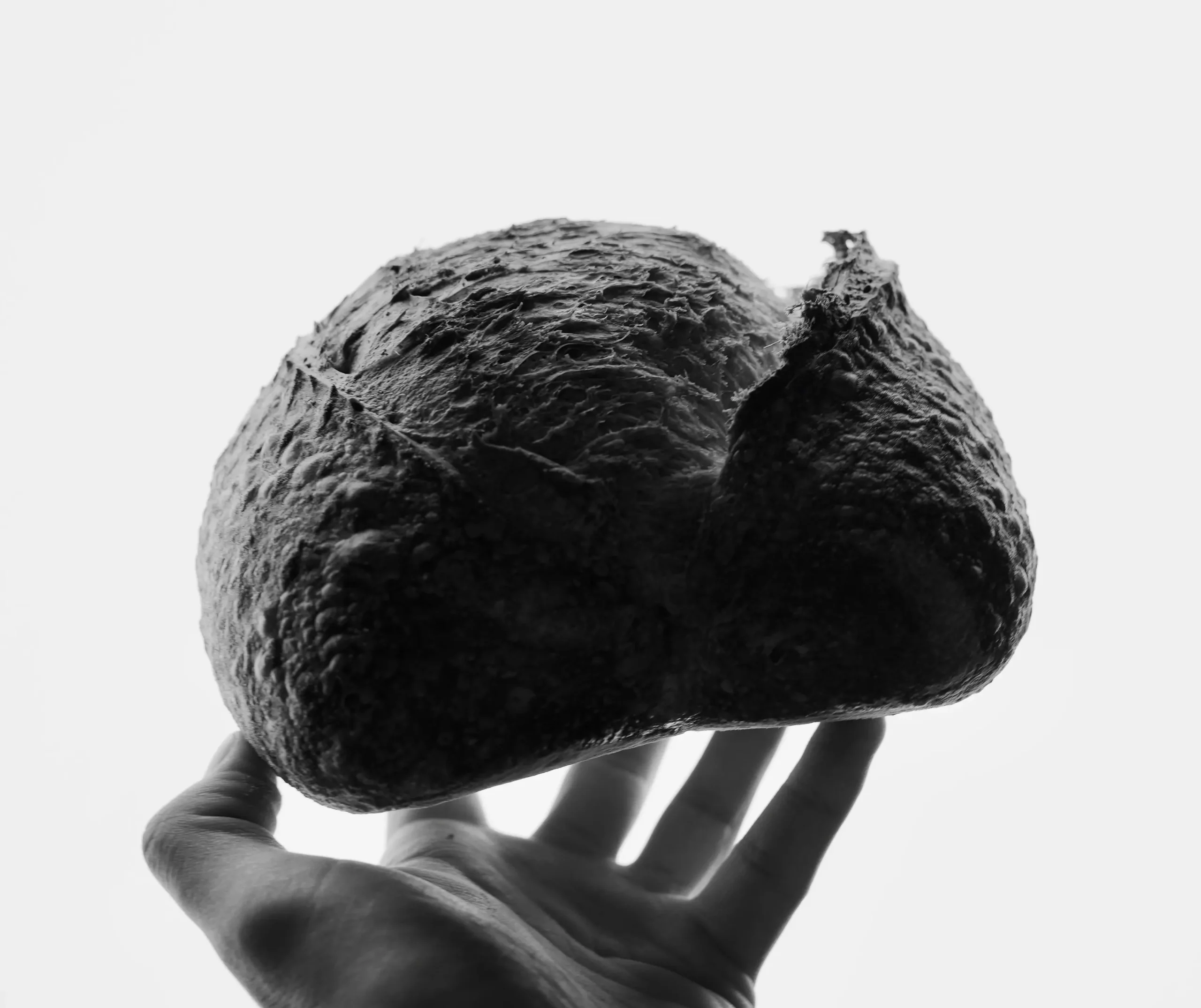 Food - Lievitazione