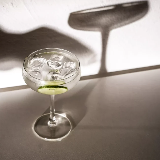 Cocktail And Wine - Bicchiere con ghiaccio e gin