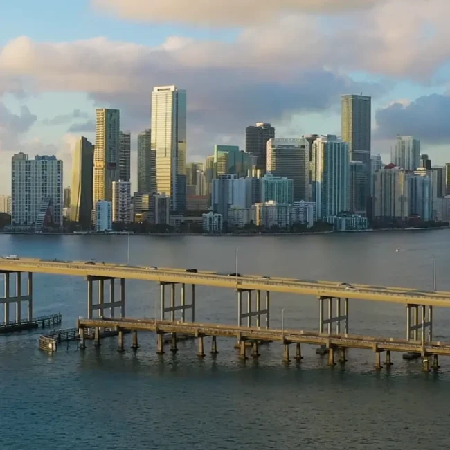 WZA MIAMI - Landscape
