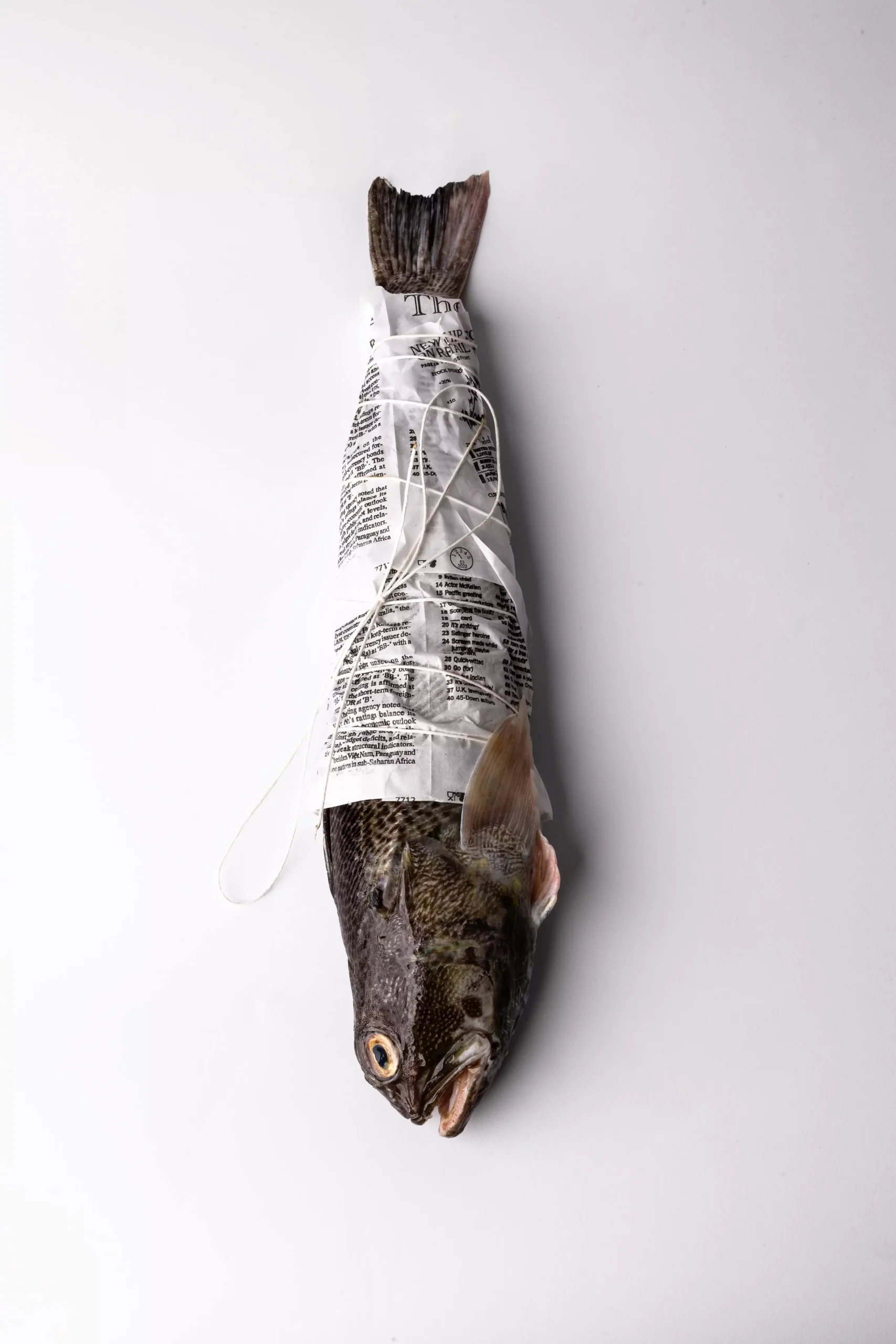 pesce in carta